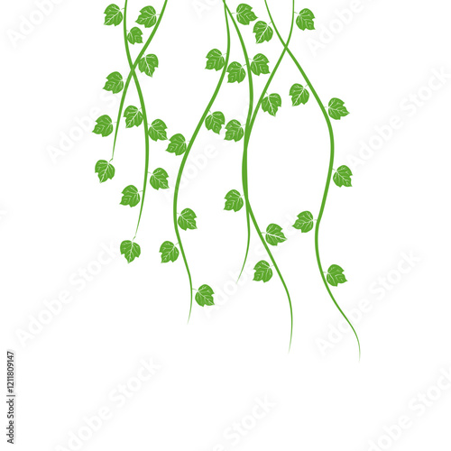 Vine Leaf