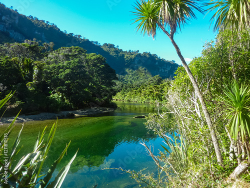 Calm, clear waters of wild Pororari River flow through lush native bush in Paparoa National Park, New Zealand. Peaceful setting for kayaking, enjoying natural beauty of wilderness area, South Island photo