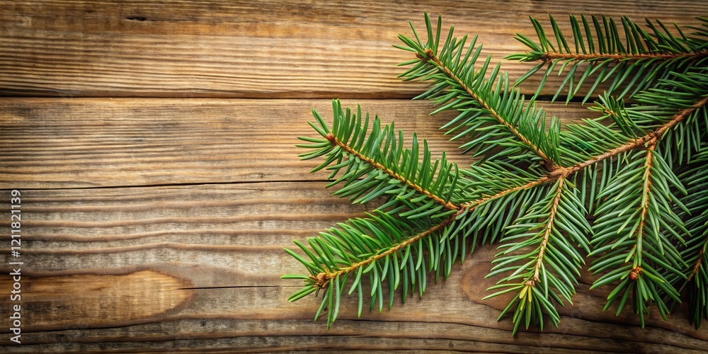 A spruce branch on a wooden background with intricate details and textures, showcasing its natural beauty , tree, rustic A spruce branch on a wooden background with intricate details and textures, showcasing its natural beauty , tree, rustic