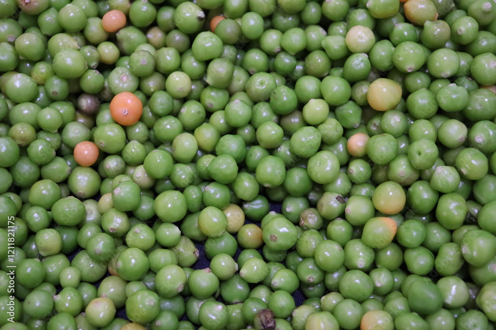 Fresh green pea grains forming a beautiful texture Fresh green pea grains forming a beautiful texture