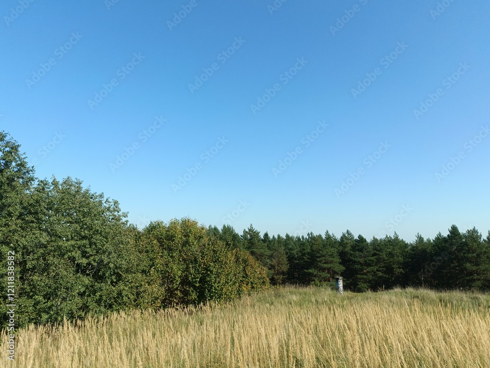 Salduve hill during sunny day. Small hill. Grass is growing on hill. Staircase leading to the top. Sunny day with white and gray clouds in sky. Nature. Salduves piliakalnis. Salduve hill during sunny day. Small hill. Grass is growing on hill. Staircase leading to the top. Sunny day with white and gray clouds in sky. Nature. Salduves piliakalnis.