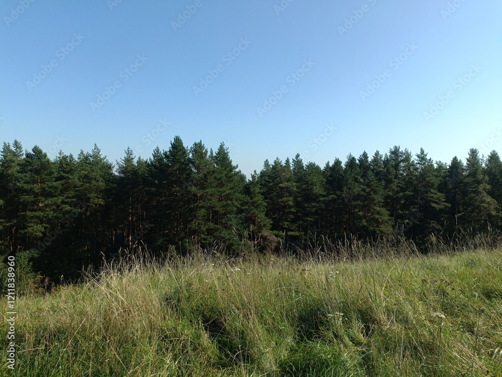 Salduve hill during sunny day. Small hill. Grass is growing on hill. Staircase leading to the top. Sunny day with white and gray clouds in sky. Nature. Salduves piliakalnis. Salduve hill during sunny day. Small hill. Grass is growing on hill. Staircase leading to the top. Sunny day with white and gray clouds in sky. Nature. Salduves piliakalnis.