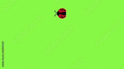 Cartoon ladybug with big eyes and black spots on red wings, it goes isolated on green screen
