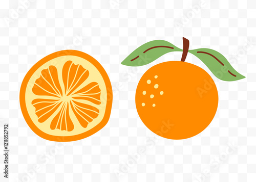 Orange citrus Tropical fruit abstract vector set.