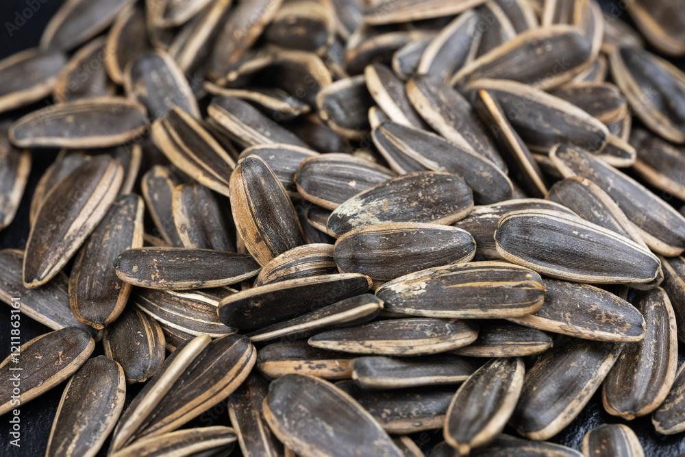 Gray sunflower seeds. Top view. Background, texture Gray sunflower seeds. Top view. Background, texture