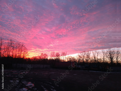 red clouds and trees