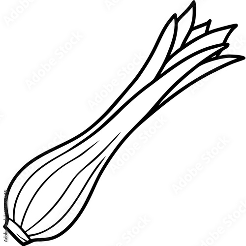 Elegant Leek Vector Drawing