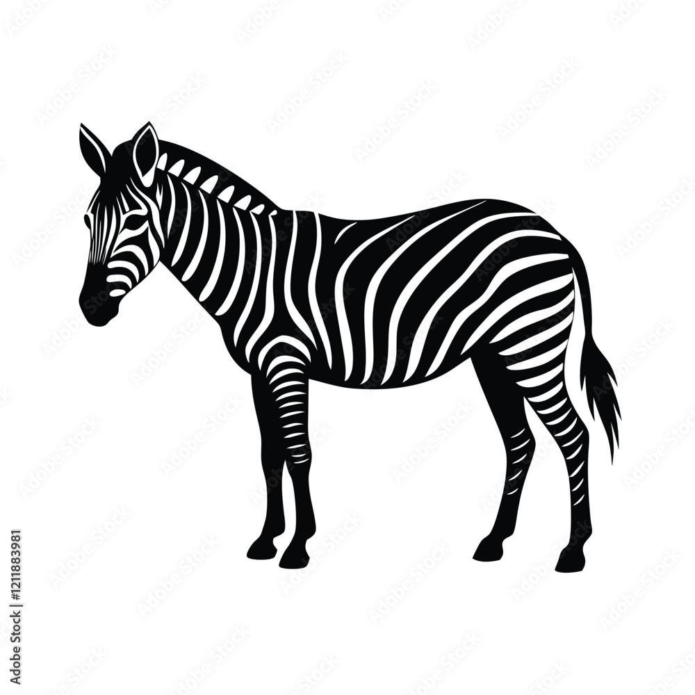 zebra isolated on white vector illustration zebra isolated on white vector illustration