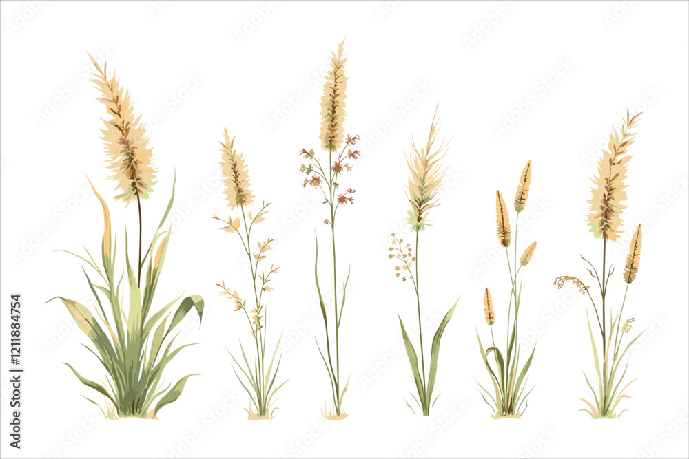 Grass Vector Clipart Bundle for Designs
Grass Vector Clipart Bundle for Designs