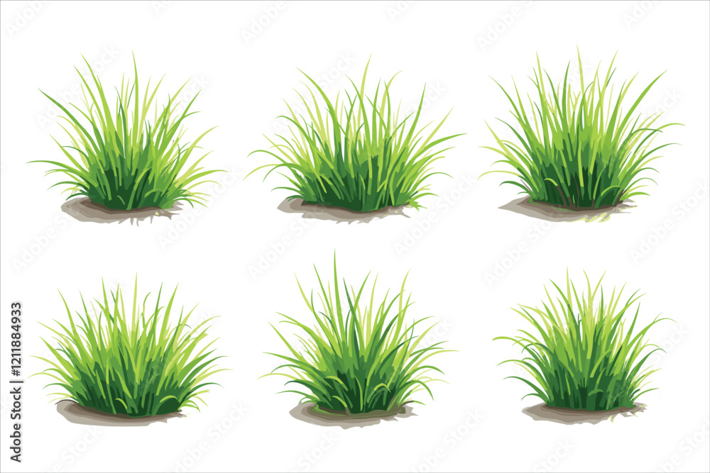 Grass Vector Clipart Bundle for Designs
Grass Vector Clipart Bundle for Designs