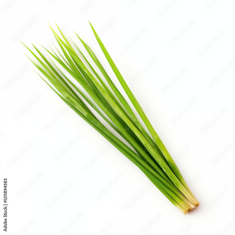 Fototapeta premium Fresh Green Lemongrass Stalks on White Background