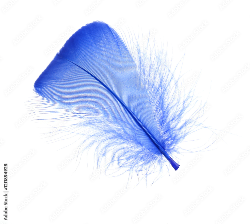 One fluffy blue feather isolated on white One fluffy blue feather isolated on white