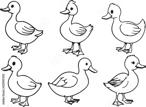 cute duck vector 