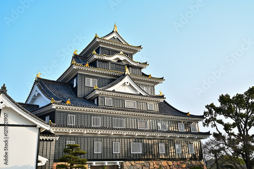 Okayama castle under the blue sky, Okayama city, Japan photo