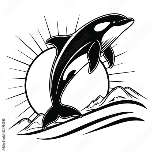 Orca Whale Vector Clipart Design for Killer Whale Illustration

