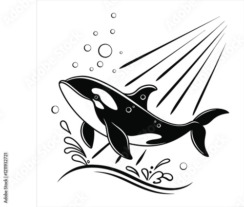 Orca whale vector illustration, killer whale Clipart Design
