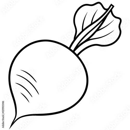 Radish Illustration Clean Vector Line Art