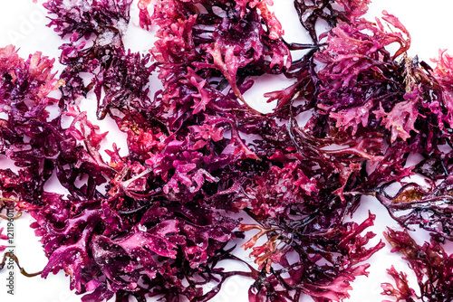 Wallpaper Mural Irish sea moss, Chondrus crispus, edible seaweed, purple, isolated on a white background, overhead flat lay shot, a close-up Torontodigital.ca