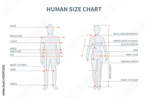 An Man and Woman Adult Body Size Chart. Vector illustration of People Silhouette Standing in a Full Length