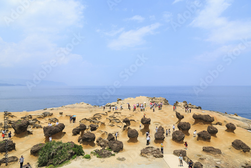 Photos 갯바위,화산암,기암괴석,바다,예류지질공원,타이베이,타이완