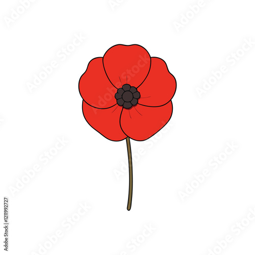 poppy flower isolated on white photo