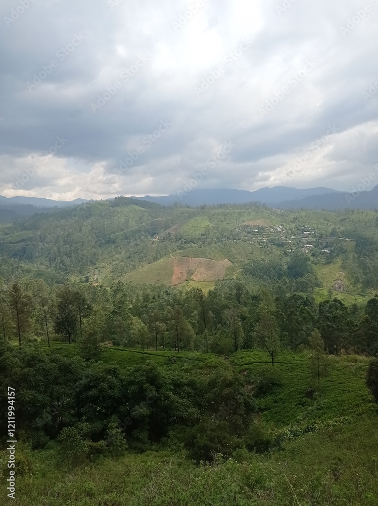 Fototapeta premium Majestic Landscapes of Sri Lanka. Breathtaking Beauty Capturing the Serene Essence of Nature in Stunning Landscapes. A Journey Through Picturesque Nature Landscapes. The beauty of Nature’s Landscape