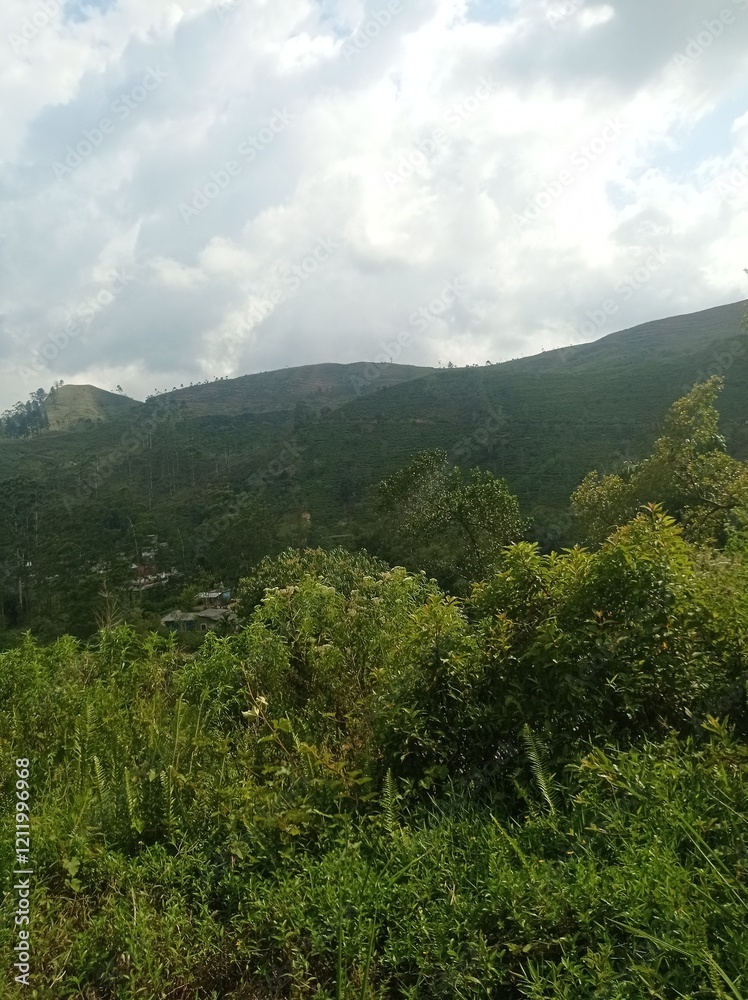Fototapeta premium Majestic Landscapes of Sri Lanka. Breathtaking Beauty Capturing the Serene Essence of Nature in Stunning Landscapes. A Journey Through Picturesque Nature Landscapes. The beauty of Nature’s Landscape