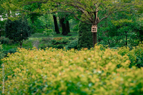 spring aesthetic park landscaped design clipped bush plants gardening floral nature in April and hanging birds house on a trees