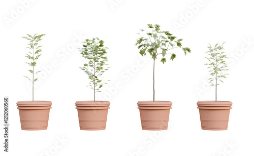 Collection plants in ceramic pots isolated on transparent background. 3D rendering