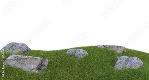 grass field small plant and stones, rocks in grassy field.