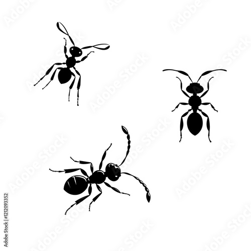 Ant silhouette design 