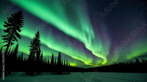 The aurora borealis shines in the night sky with a dominant green color, clearly visible above the forest with the silhouettes of tall trees such as pine.