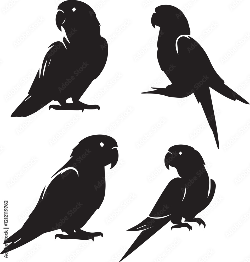Obraz premium set of eclectus parrot sitting poses,parrot illustration set, bird sitting design