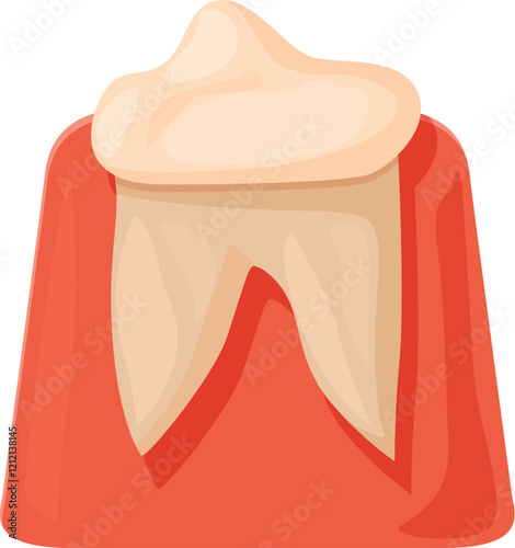 Lower central incisor with its crown and root emerging from gum during teething process