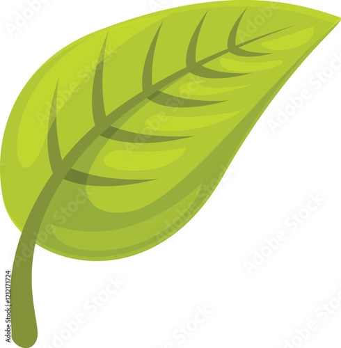 Green leaf representing nature, growth, and environmental concepts