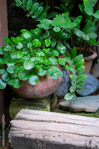 Canvas Print zen stones in the garden