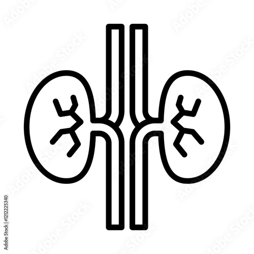 kidneys