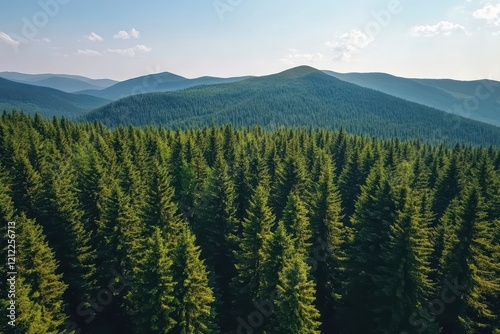 Aerial view lush green coniferous forest, mountain backdrop, sunny day, nature conservation