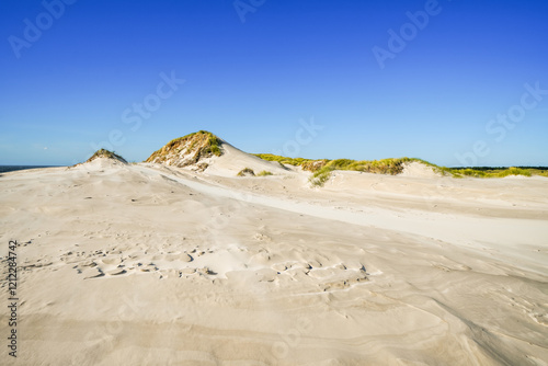 Fototapeta Naklejka Na Ścianę i Meble -  View of the dunes on the North Frisian island of Amrum. Landscape in the north. Nature on the North Sea island.
