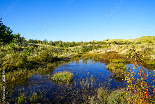 View of the landscape and a body of water on the North Frisian island of Amrum. Nature in the dunes.
