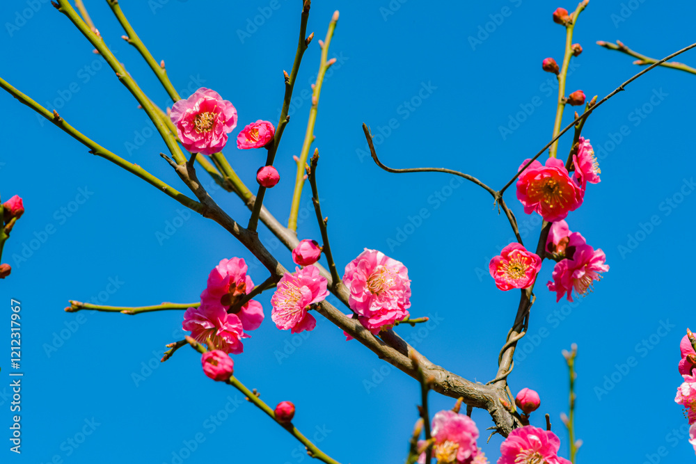 In spring, colorful flowers bloom one after another, and willow trees grow tender leaves, creating a vibrant scene In spring, colorful flowers bloom one after another, and willow trees grow tender leaves, creating a vibrant scene