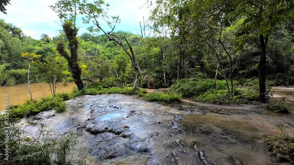 Water flood on river after heavy rain rapids water flow copiously from mountain stream in the forest Water flood on river after heavy rain rapids water flow copiously from mountain stream in the forest