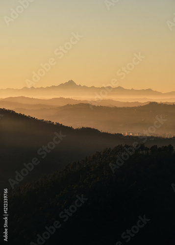Foto scattata nella famosa pineta di Mornese durante il periodo invernale.