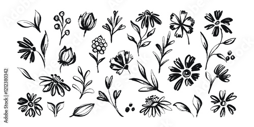 Set of Grunge Flower Head Collection Hand Drawn with Black Ink Isolated on White Background. Dry ink strokes of herb silhouettes. Brush dry painting of field plants
