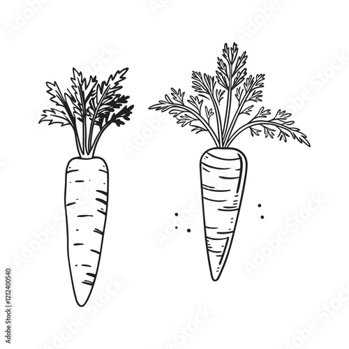 carrot line art design 
