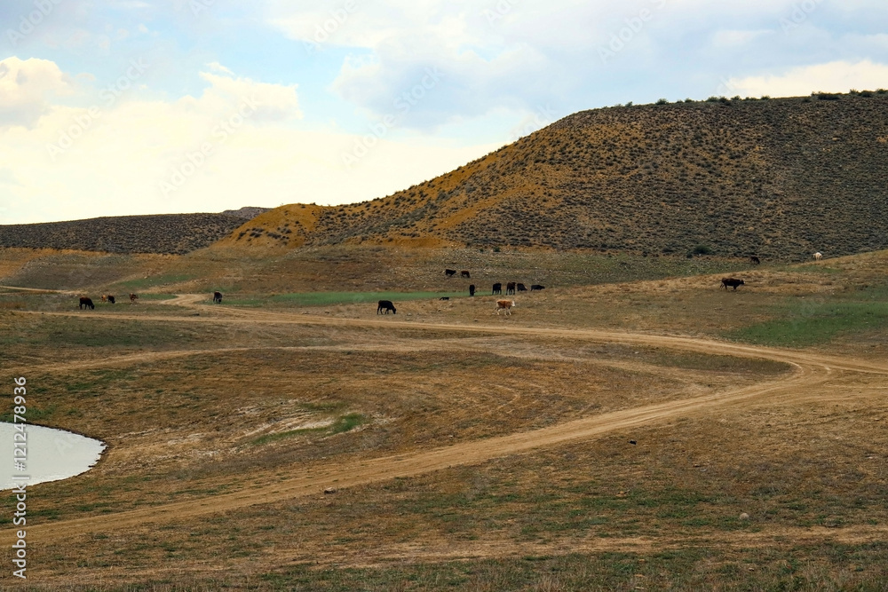 Fototapeta premium reservoirs in the dry mountains of Armenia.