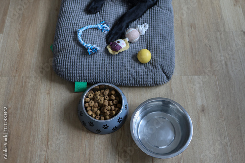 Une gamelle d'eau et de croquette pour chien à coté d'un cousin