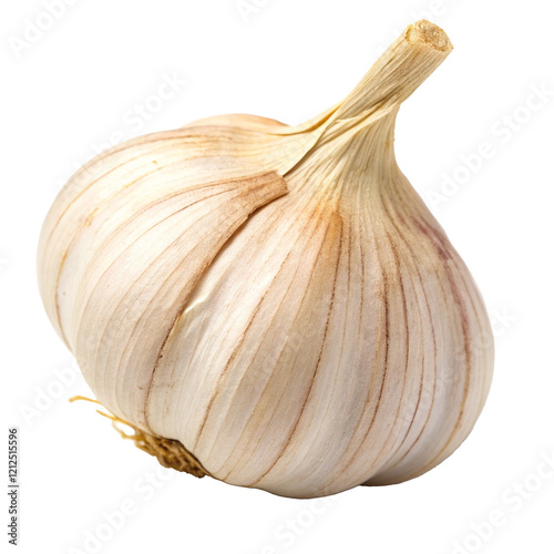garlic isolated without background