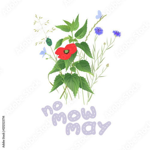 No mow May concept, wild flowers, grass and plants vector illustration