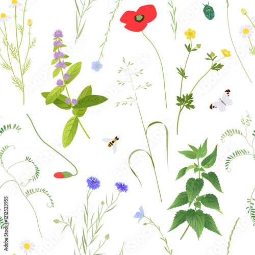 Botanical seamless pattern, no mow May concept, wild flowers, grass and plants vector illustration